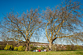 UK,England,North London,London,People enjoying the sun in Primrose Hill in Hampstead