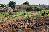 Stone Platform Outside Village Of Ulumholi,Dirikoro,Ethiopia