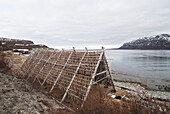 Wooden Stacks With Drying Cod On Coast,Norway