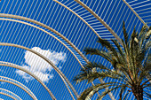 Palme und Wolke im Regenschirm in der Ciudad De Las Artes Y Las Ciencias (Stadt der Künste und Wissenschaften), Valencia, Spanien.