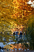 Herbst im St. James's Park,London,England,Vereinigtes Königreich