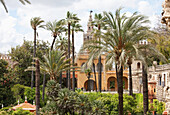 Glockenturm der Kathedrale von Sevilla, Blick von den königlichen Alcazar-Gärten, Sevilla, Andalusien, Spanien