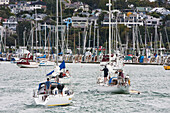 Yachts In Harbor,New Zealand
