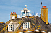 Dach und Wetterfahne, West Bay, Jurassic Coast, Dorset, England