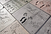 Walk Of Fame,Hollywood,California,Usa