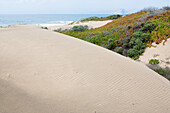 Erhöhte Ansicht einer Sanddüne,Kalifornien,USA