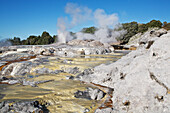 Rainbow Over Geyser,New Zealand