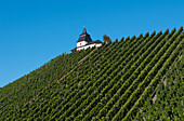 Mosel Valley Leiwen Vineyards,Rhineland-Palatinate,Germany