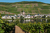 Felder, Weinberge und ein Dorf am Rande eines Flusses im Moseltal, Zell, Rheinland-Pfalz, Deutschland