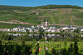 Fields,Vineyards And A Village On The Edge Of A River In Mosel Valley,Zell,Rhineland-Palatinate,Germany