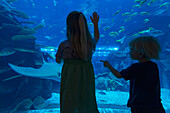 Junge und Mädchen blicken in das riesige Aquarium im Einkaufszentrum von Dubai, Dubai, Vereinigte Arabische Emirate