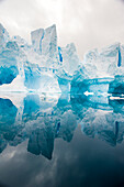 Eisbergformationen, die sich im Südlichen Ozean in Neko Harbor, Antarktis, spiegeln