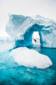 Natürliche Gewölbebildung und Meereis in der Cierva-Bucht im Südlichen Ozean, Antarktis