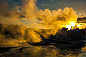 Golden sunlight illuminates steam from the Castle Geyser in Yellowstone National Park,USA,Wyoming,United States of America