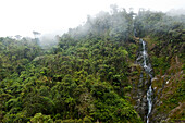 Waterfall down a cliff through lush rainforest vegetation,Limon,Ecuador