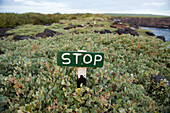 Stopp-Schild zum Schutz von Pflanzen und Tieren auf der Insel Espanola im Nationalpark der Galapagos-Inseln,Espanola-Insel,Galapagos-Inseln,Ecuador