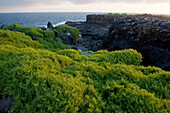 Scenic view of Espanola Island in Galapagos National Park,Espanola Island,Galapagos Islands,Ecuador