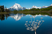 Mountain lake beauty in Yellowstone National Park,Wyoming,USA,Wyoming,United States of America