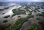 Lagunen und ein hochgelegener Wald während der Regenzeit in der Pantanal-Region in Brasilien, Pantanal, Brasilien
