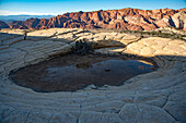 Hiking trail through Snow Canyon,behind the Red Mountain Spa,with a water hole in the rocky landscape and the Snow Canyon Mountain Range in the background at Red Cliffs Desert Reserve around St George Town,St George,Utah,United States of America