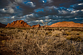 Hiking trail through Snow Canyon,behind the Red Mountain Spa on Red Cliffs Desert Reserve around St George Town with dry bushes,red,rock cliffs and dark clouds in a blue sky,St George,Utah,United States of America