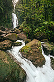 Blick auf die üppige Vegetation und das rauschende Wasser der Trafalgar Falls auf der Karibikinsel Dominica im Morne Trois Pitons National Park,Dominica,Karibik