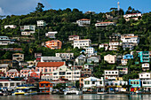Bunte Häuser am Berghang in der Hafenstadt St. Georges mit Blick auf die Uferpromenade auf der Insel Grenada,St. Georges,Grenada,Karibik