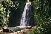 Nahaufnahme der von üppiger Vegetation umgebenen Sieben-Schwestern-Wasserfälle mit Felsbrocken neben dem grünen Tauchbecken im Grand-Etang-Nationalpark,Grand-Etang-Nationalpark & Waldreservat,Grenada,Karibik