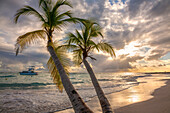 Nahaufnahme einer Palme mit einer Yacht, die vor der Küste vertäut ist. Das türkisfarbene Wasser und die schäumende Brandung rollen in der Dämmerung auf den unberührten weißen Sandstrand in dem kleinen Dorf Worthing, Worthing, Barbados, Karibik