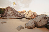 Nahaufnahme der großen Felsen an der Küste von The Baths, einem berühmten Strand auf den BVI's, Virgin Gorda, Britische Jungferninseln, Karibik
