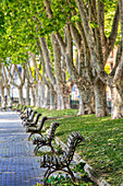 Friedlicher, von Bäumen gesäumter Spazierweg in einem Stadtpark mit einer Reihe hölzerner Parkbänke in der Stadt Bilbao, der Hauptstadt des Baskenlandes, Bilbao, Biskaya, Spanien