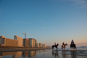 Three cowboys ride their horses at sunrise along Virginia Beach in First Landing State Park,Virginia,USA,Virginia Beach,Virginia,United States of America