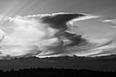 Monochrom von Virga-Wolken während eines Sonnenuntergangs und Waldsilhouetten, Olympia, Washington, Vereinigte Staaten von Amerika