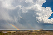 Riesige Gewitterwolke, die Regen und Hagel auf die Prärie im Südosten Wyomings schüttet und einen wunderschönen Regenbogen für die Menschen auf dieser Seite des Sturms bietet, Chugwater, Wyoming, Vereinigte Staaten von Amerika