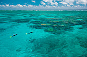 Divers explore the beautiful Great Barrier Reef out of Port Douglas in Australia,Queensland,Australia