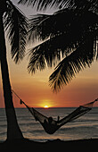 Sonnenuntergang am Strand mit silhouettierter Hängematte und Palmen, Costa Rica