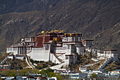 Potala-Palast glänzt im Sonnenlicht,Lhasa,Tibet