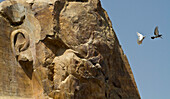 Eroded face of the head of the Colossus of Memnon,Luxor,Egypt