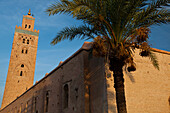 Die Koutoubia-Moschee und das Minarett aus dem 12. Jahrhundert in der Medina in Marrakesch, Marrakesch, Marokko