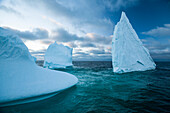 Eisberge in der Gerlache Strait, Antarktis