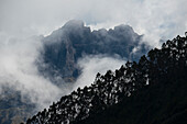 Clouds shroud the rugged mountains with silhouetted trees lining the mountainside in the foreground,viewed from the Sacred Valley of the Incas,north of Cuzco,Peru