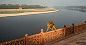 Affen über dem Yamuna-Fluss auf dem Gelände des Taj Mahal, ein erwachsener Affe trägt einen jungen Affen auf dem Rücken an einer Mauer entlang, Agra, Indien