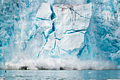 Ice from the Monacobreen Glacier crashes into the sea,with a flock of birds flying away from the splashes,Spitsbergen,Svalbard,Norway