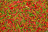 Abundance of red and green peppers on display for sale in a street market in Luang Pragang,Luang Prabang,Laos