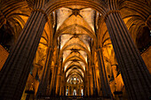 Blick auf die Säulen und die gewölbte Decke der Kathedrale von Barcelona, Barcelona, Spanien