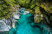 Blue Hole bei Haast Pass, Neuseeland, Südinsel, Neuseeland