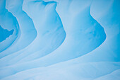 Eisberg auf der Westseite der Antarktischen Halbinsel,Antarktis