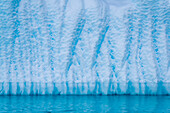 Close-up detail of an iceberg surface and water's edge on the west side of the Antarctic peninsula,Antarctica