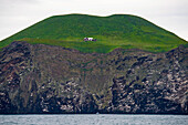 House on a cliff near Heimaey,Iceland,Iceland
