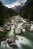 Tutoko River umgeben von Bäumen und Bergen, Milford Sound, Südinsel, Neuseeland